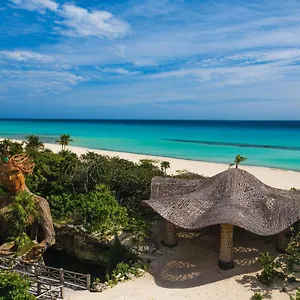 Palmaia The House Of Aia Wellness Mexico
