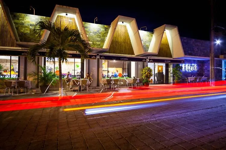 Hotel Mx Portal Maya 普拉亚卡门